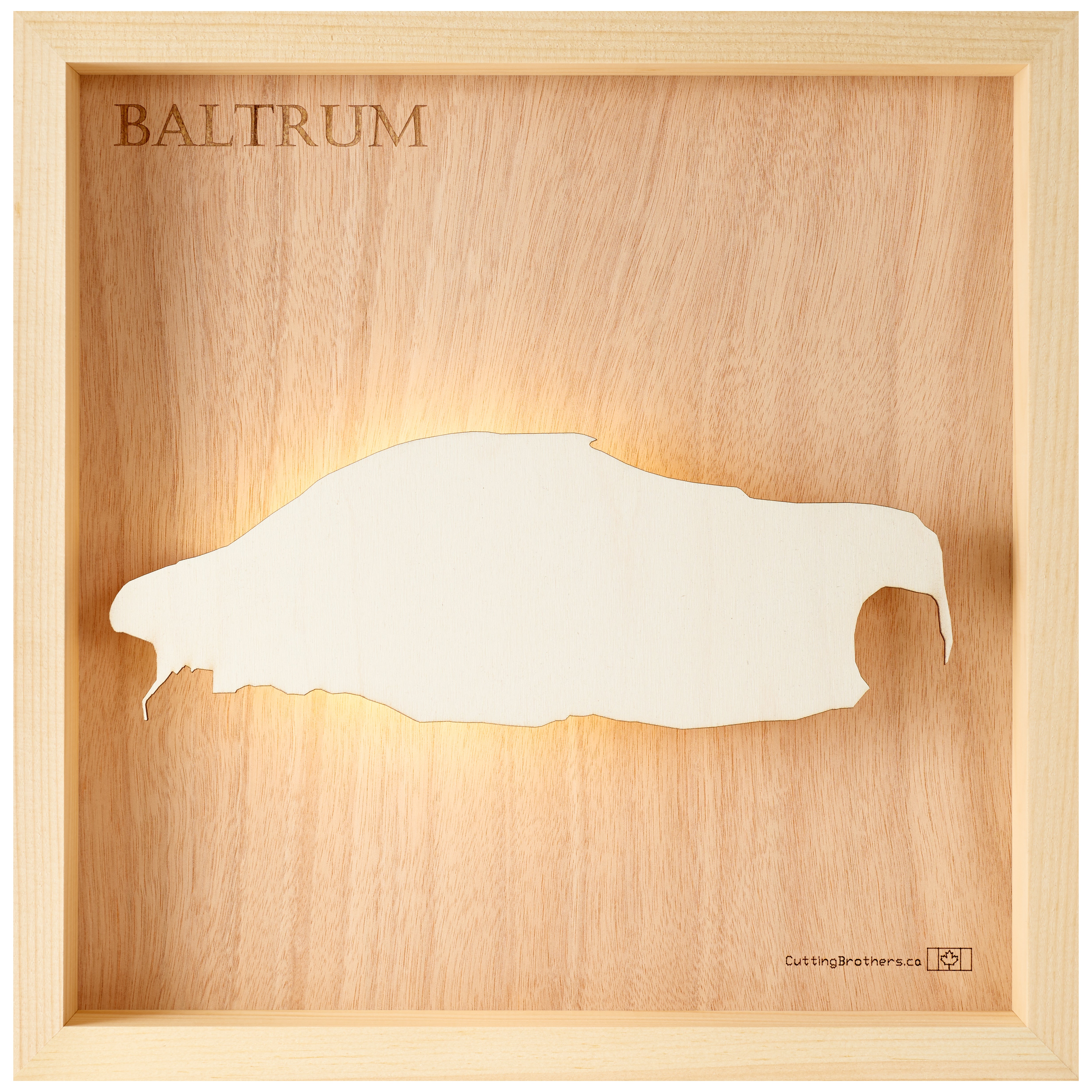 BALTRUM 3D Holz INSEL LICHT KARTE (LED)