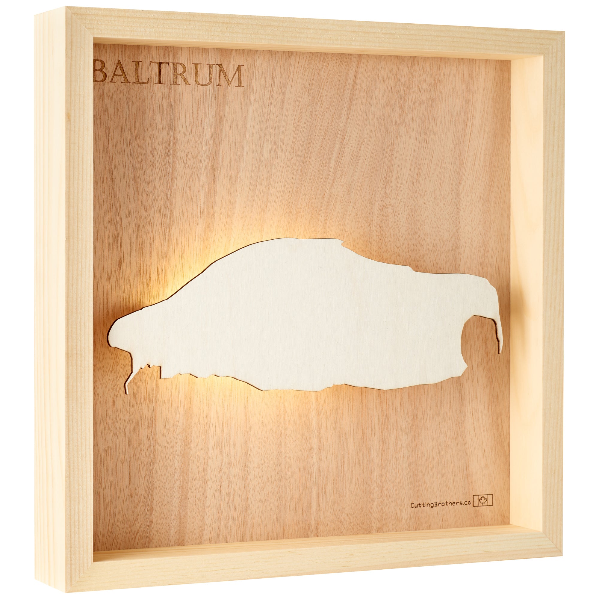 BALTRUM 3D Holz INSEL LICHT KARTE (LED)