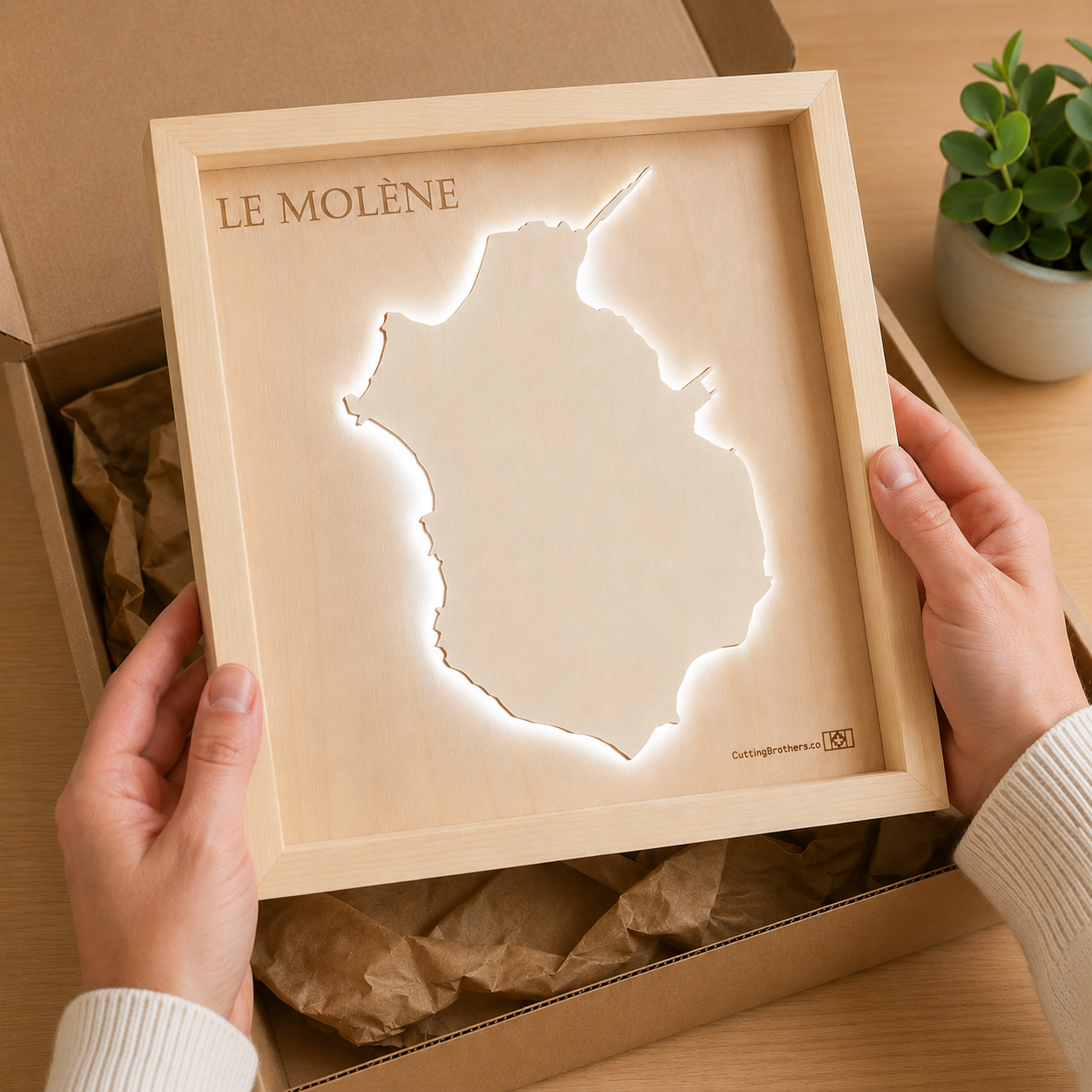 ILE MOLENE - 3D Holz INSEL LICHT KARTE (LED)