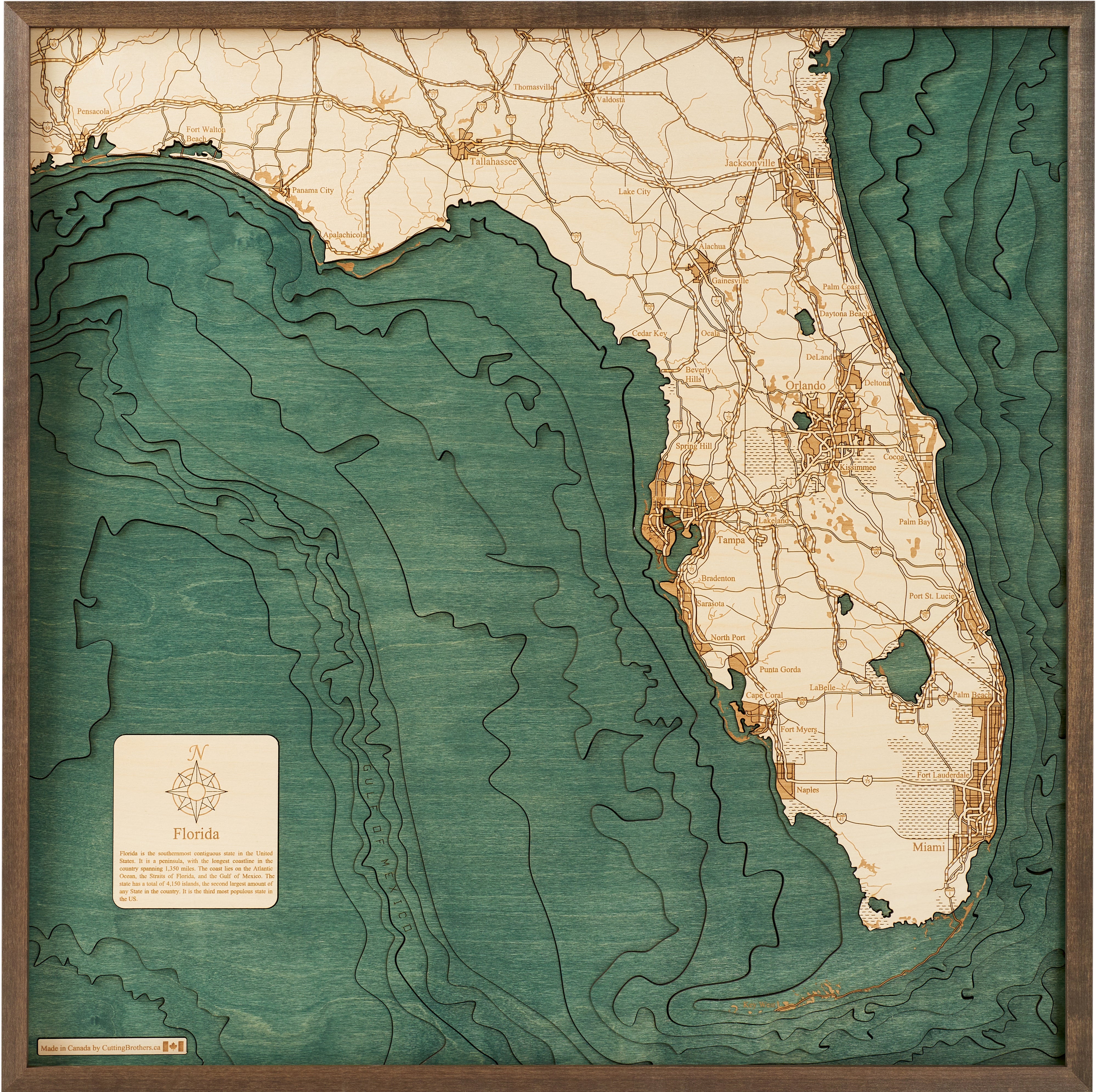 FLORIDA 3D Wooden Wall Map - Version L